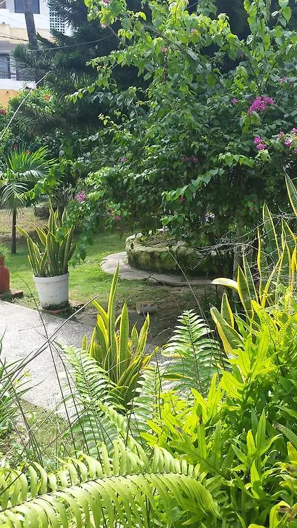 Apartamento Sailodge.Com San Andres  0*, San Andres (San Andres and Providencia Islands) Colombia